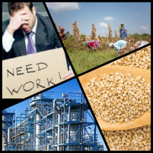 Job Creation and Sesame Oil